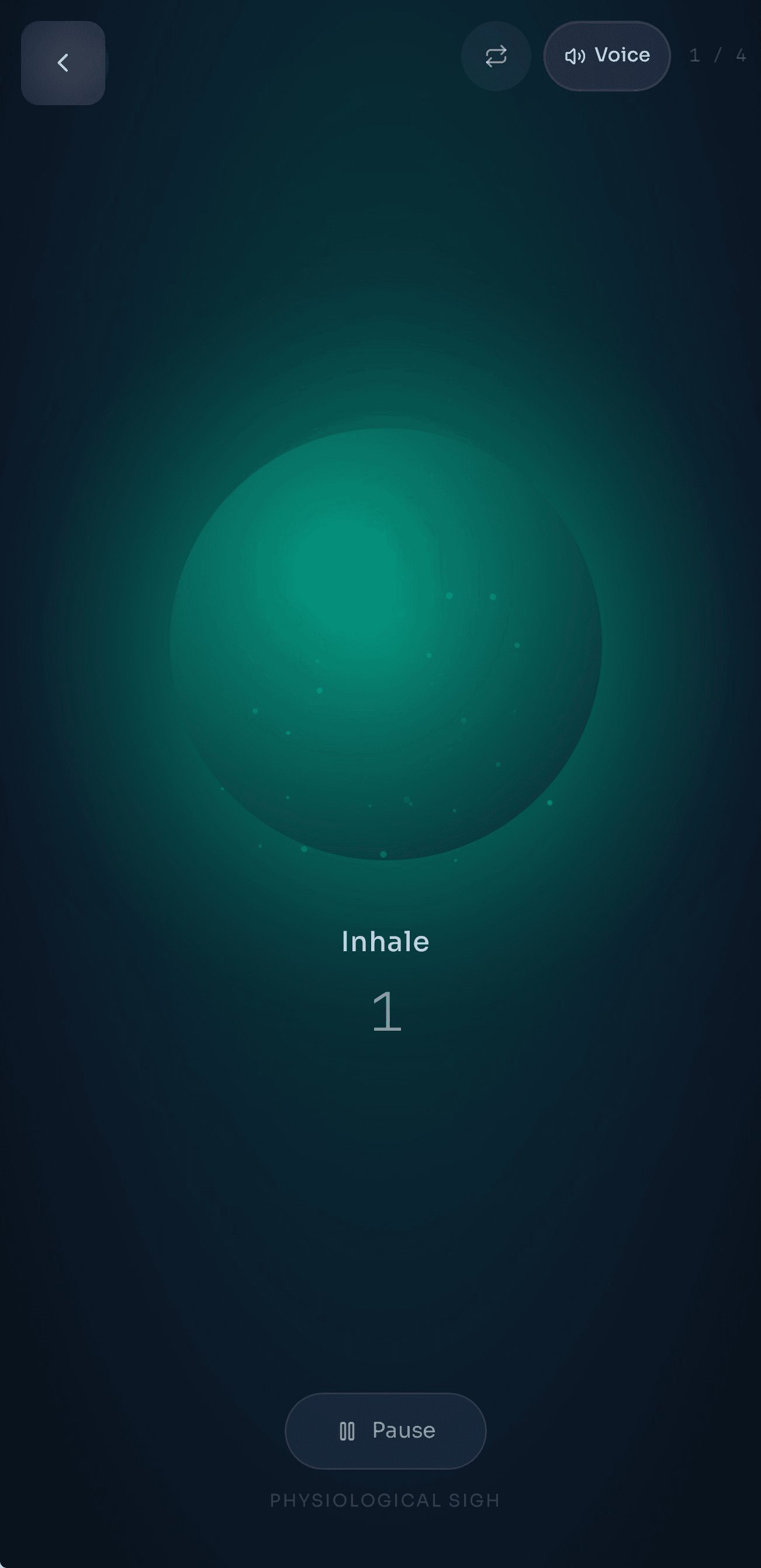 Physiological Sigh tool screen